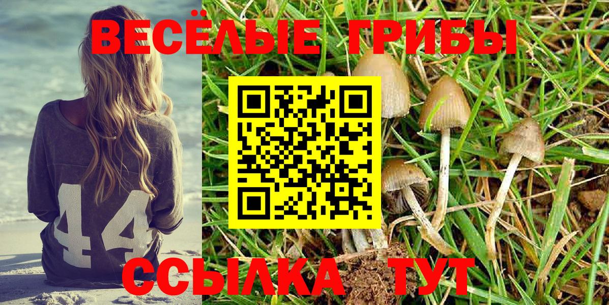 Галлюциногенные грибы ЛСД Железноводск