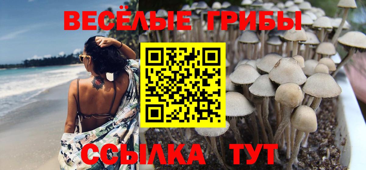 Железноводск  как найти наркотики  Вход с VPN  Псилоцибиновые грибы Cubensis 
