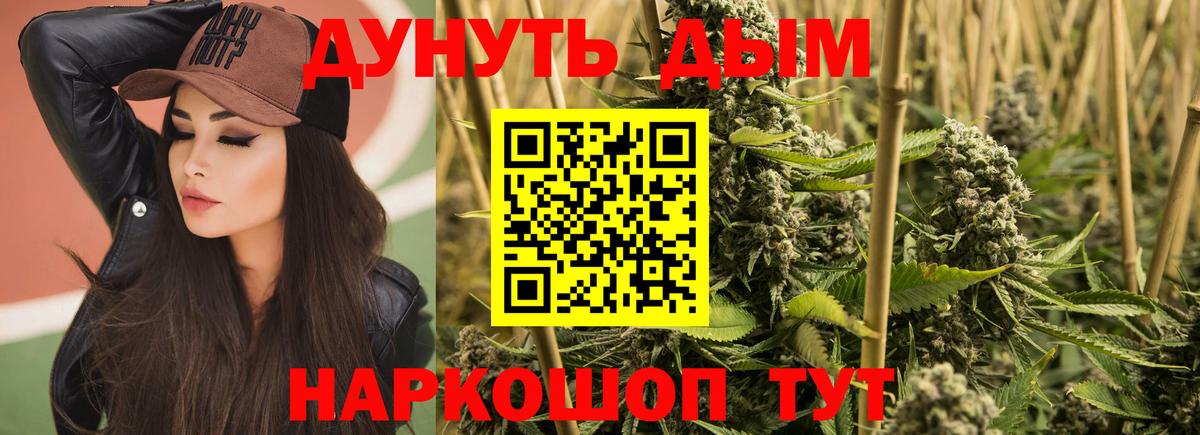 Марихуана сатива  Вход с VPN  Железноводск  Бошки марихуана Amnesia  Канабис семена  МАРИХУАНА White Widow 